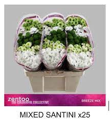 Chr Santini Breeze Mix X25