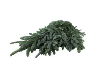 Abies Nobilis Blauw 5kg