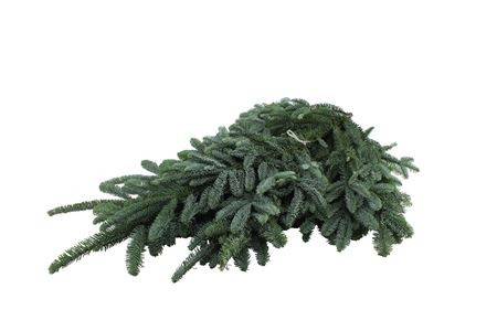 Abies Nobilis Blauw 5kg