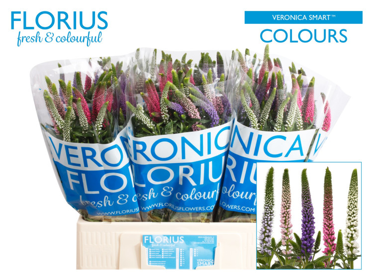 Veron Smart Col Mix