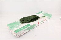 Aspidistra 60 sm