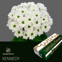 Chr T Kennedy 105gr X5