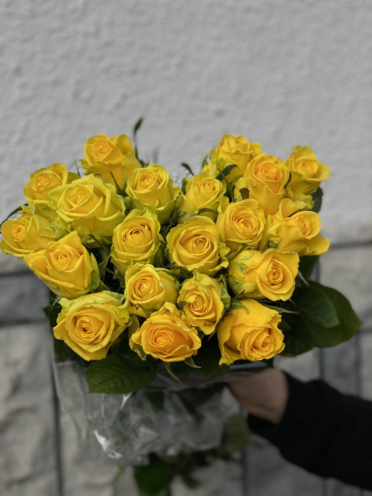 Пені лейн 80 см Бердичів