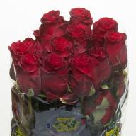 Explorer 70 sm Ecuador Х25 - ECUADOR_ROOS_ROSA_ROSE_FLOWER_FSQ_BUNCH_EXPLORER