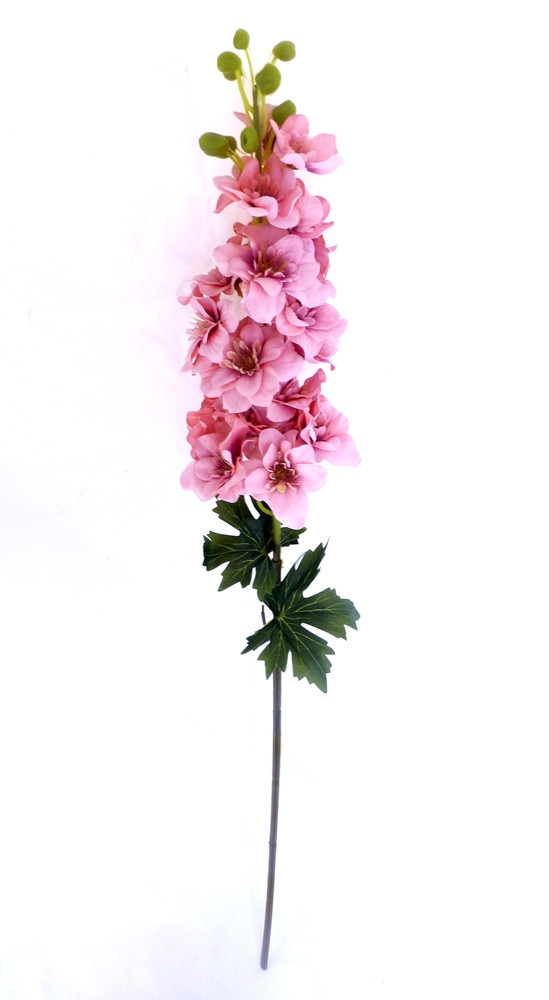 Delphinium Pink 85 sm