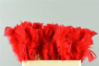 Stick Feather Red 14 sm X10